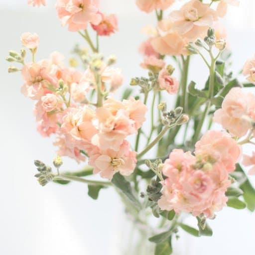 0f4db166c9799234bf99ef8dc9952e4c_1675738806_7456.jpg 0f4db166c9799234bf99ef8dc9952e4c_1675738806_7456.jpg